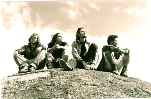 Photo of Àrvores de Carvalho