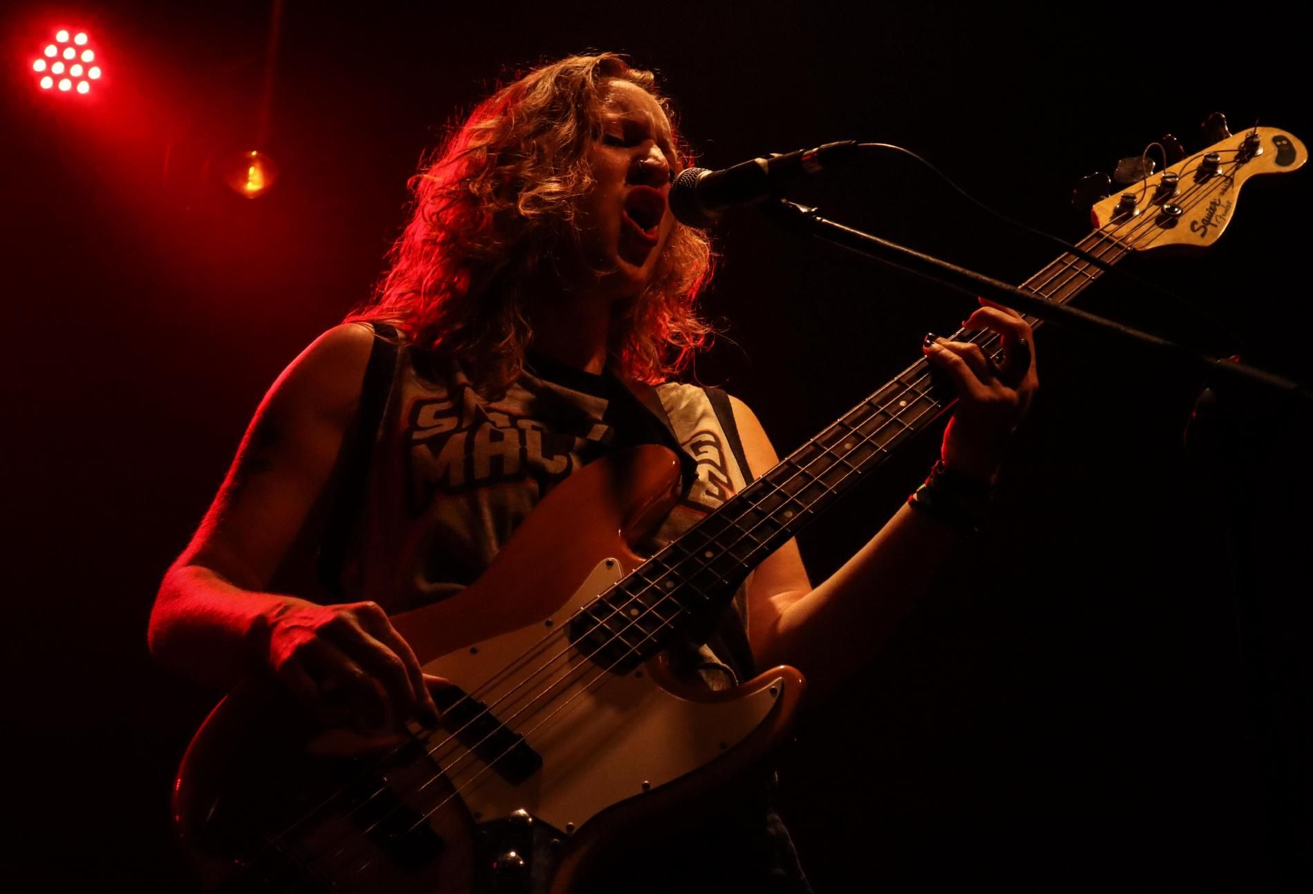 Foto de Vinociraptor