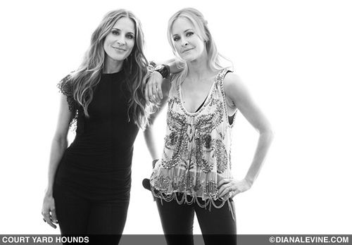 Photo of Court Yard Hounds