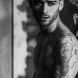 Foto do artista ZAYN