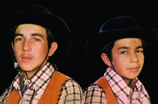 Foto de Ouro e Pinguinho