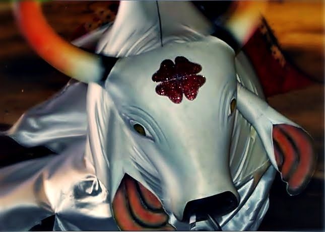 Foto de Boi Flor do Campo