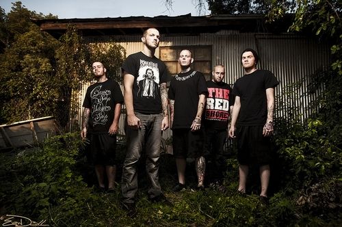 Foto de King Conquer