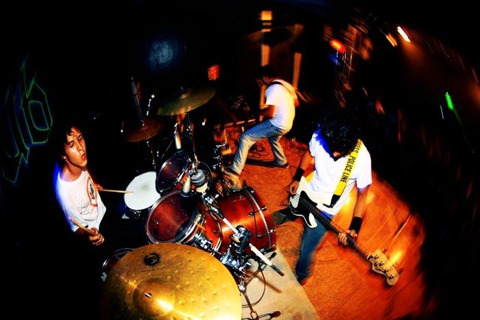 Foto de Cerva Grátis