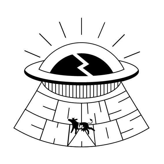 Photo of Cows in Chaos