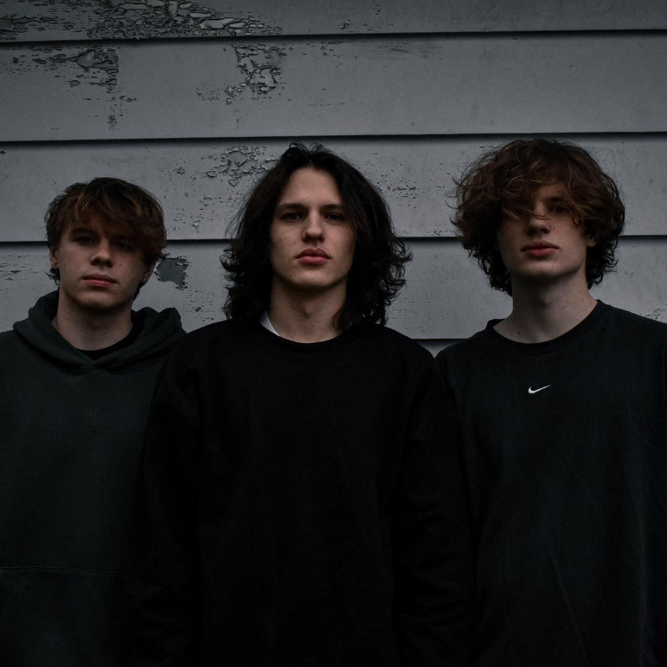 Foto de Indigo Zebras