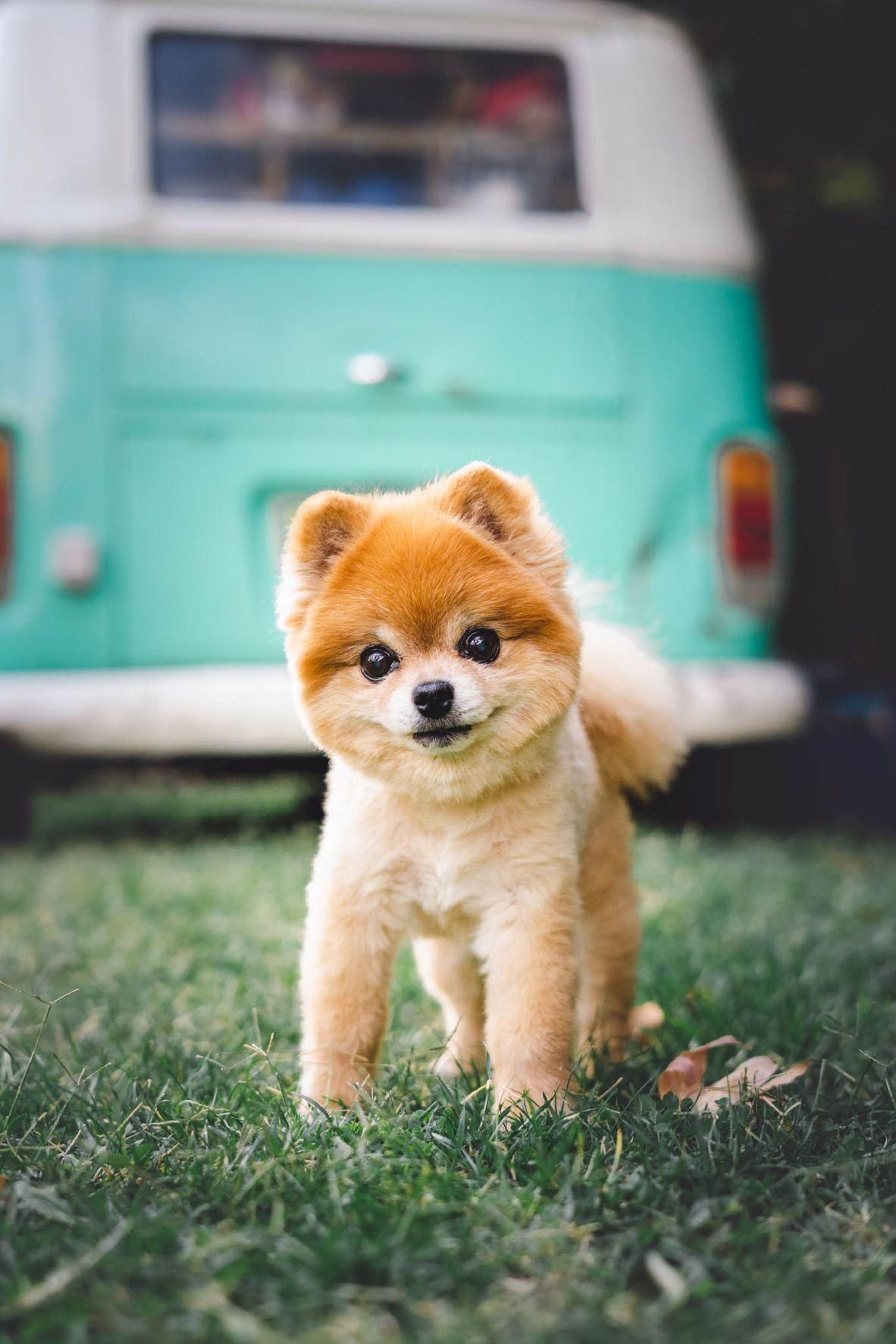 Foto de Outro Saculejo