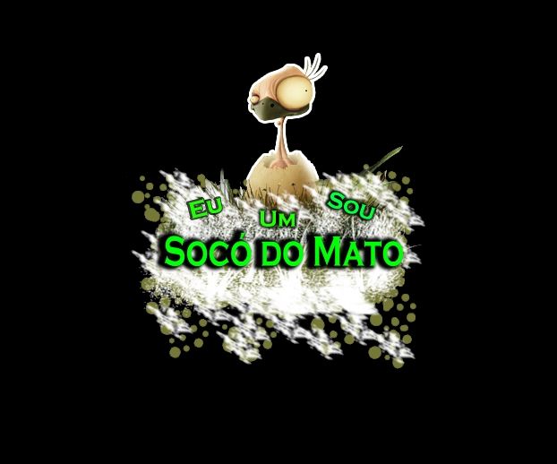 Foto de Socó do Mato