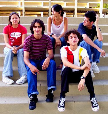 Photo of Dead Leaves