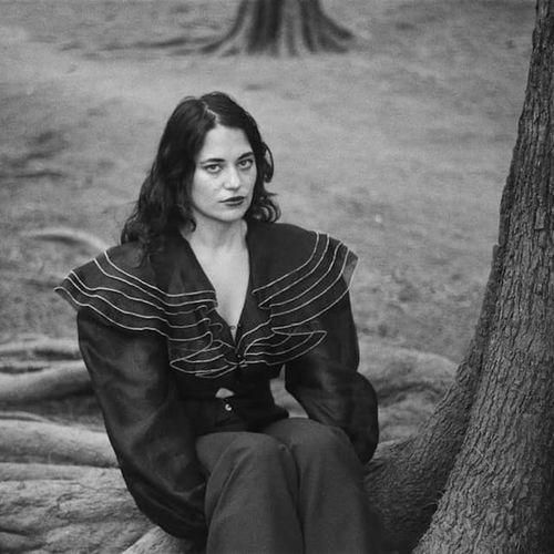 Foto de Maple Glider