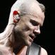 Red Hot Chili Peppers 's photo