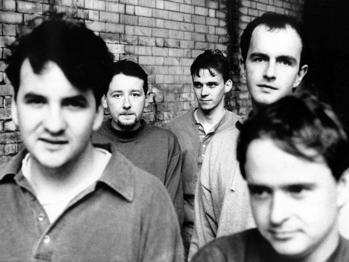 Photo of The Orchids