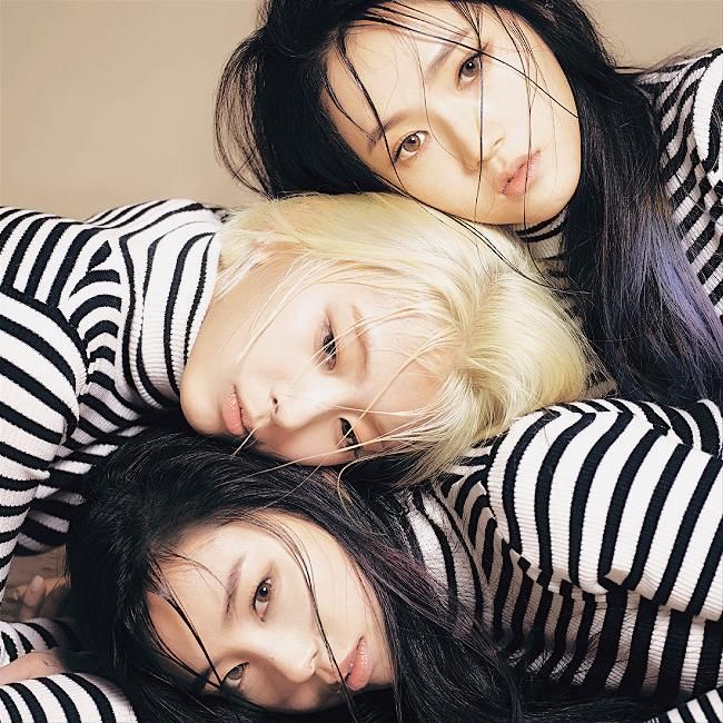 Photo of Ladies Code