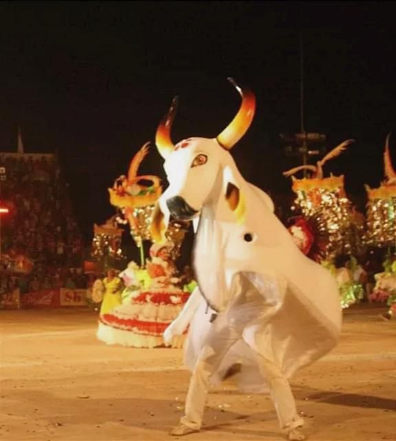 Foto de Boi Flor do Campo