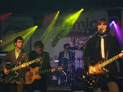 Photo of Reino Fungi