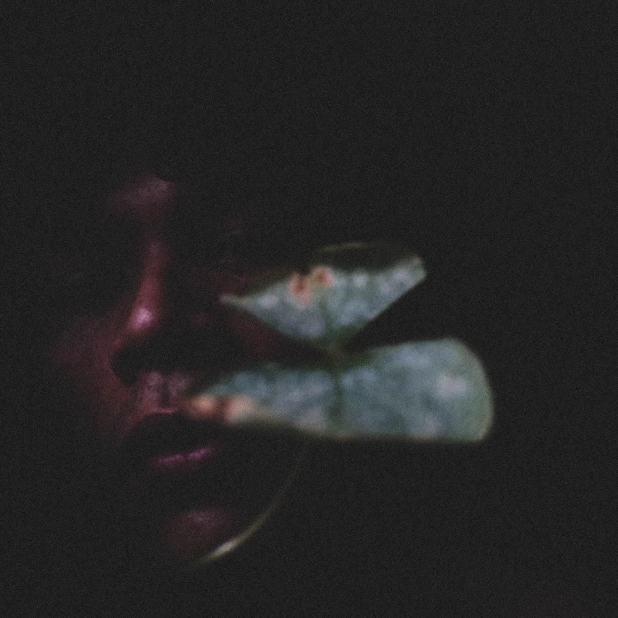 Foto de Wilson de Barros