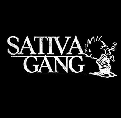 Foto de SATIVA (Coletivo)