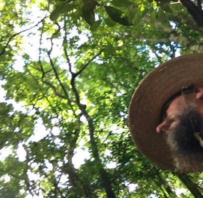 Foto de Jacu Eletrônico