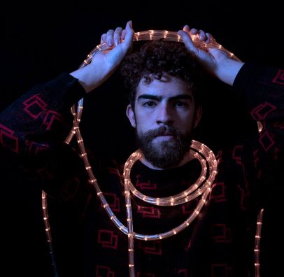 Foto de Pássaro Vadio