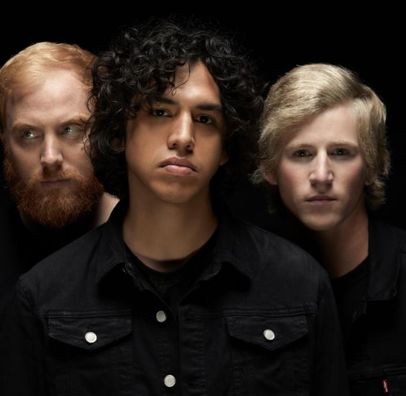 Foto de Social Animals