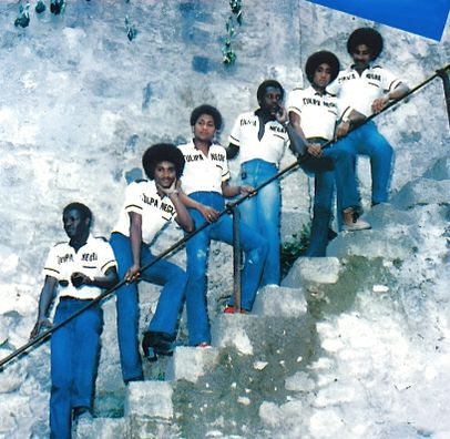 Foto de Tulipa Negra