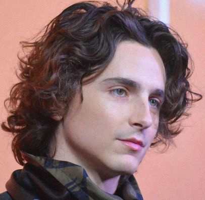 Foto de Timothée Chalamet