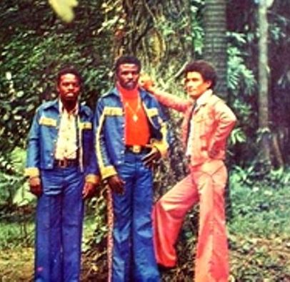 Foto de Os Canarinhos da Furna Azul