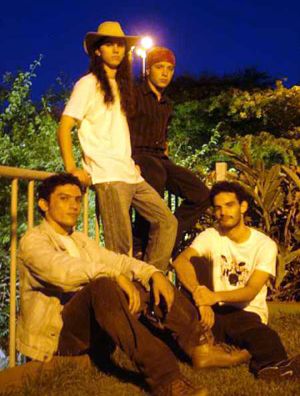 Foto de Several Bulldogs