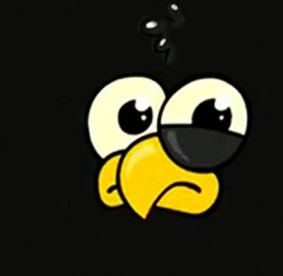 Foto de Galinha Preta Pintadinha