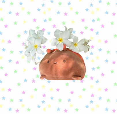 Foto de Mariquita
