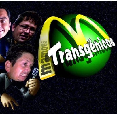 Foto de Mamões Transgênicos