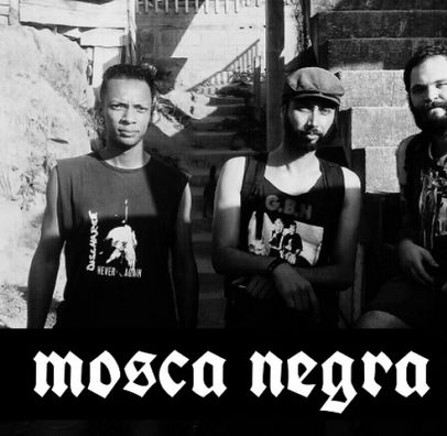 Foto de Mosca Negra
