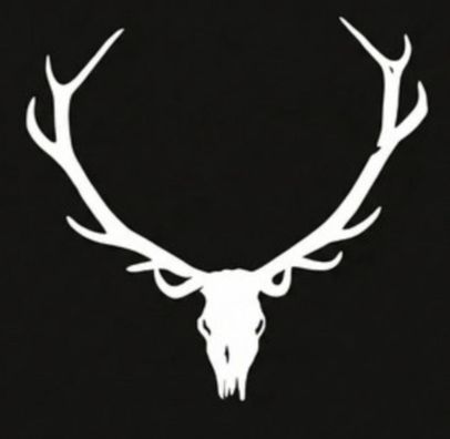 Foto de Chillan las Bestias