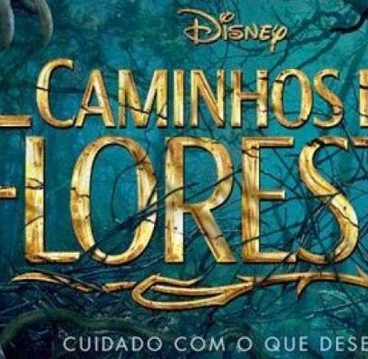 Foto de Caminhos da Floresta