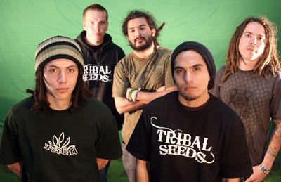 Foto de Tribal Seeds