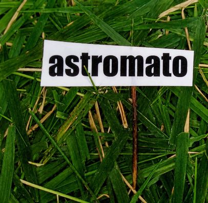 Foto de Astromato