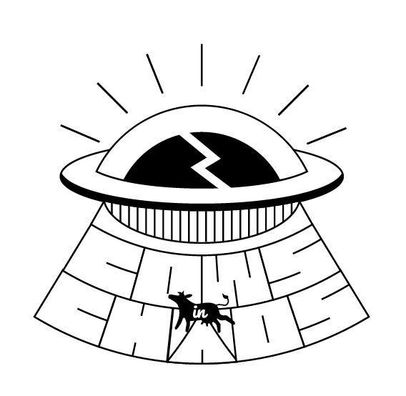 Foto de Cows in Chaos