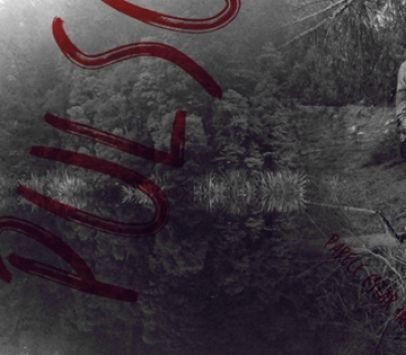 Foto de Pulso de Marte