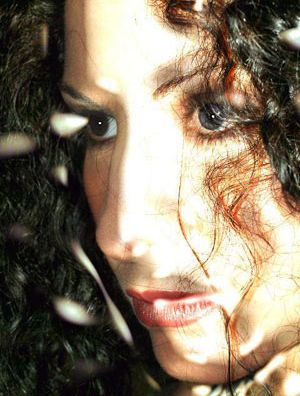 Foto de Magni Animi Viri