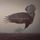 Portada de la canción "Decima", de Katatonia
