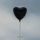Portada de la canción "Drag The Lake", de The Amity Affliction