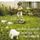 Portada de la canción "Downhill From Here", de Snow Patrol