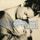 Portada de la canción "The Living", de Natalie Merchant