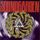 Portada de la canción "Outshined", de Soundgarden