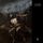 Portada de la canción "Bartzabel", de Behemoth