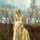 Portada de la canción "Sweet Ophelia", de Zella Day