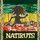 Portada de la canción "Presente De Um Beija-Flor", de Natiruts