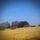 Portada de la canción "Jim Wise", de Sun Kil Moon