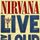 Portada de la canción "The Man Who Sold The World", de Nirvana