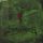 Portada de la canción "I Was Buried In Mount Pleasant Cemetery", de Woods of Ypres